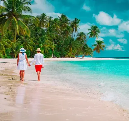 Exotic Honeymoon Package in India