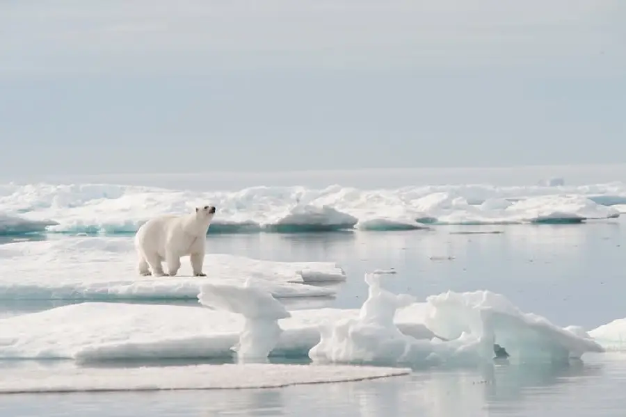 Custom Tour Package to North Pole