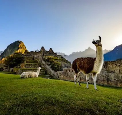 Customized Tour Package in South America