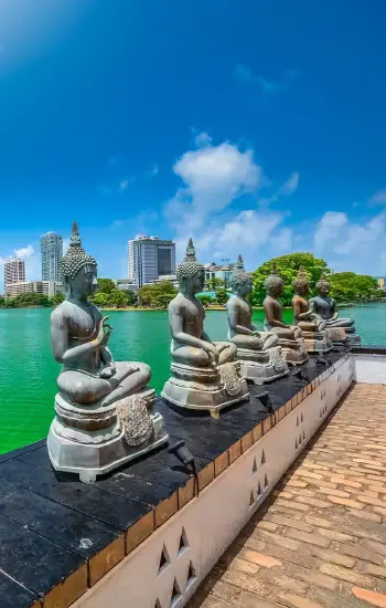 Customized Trip to Srilanka