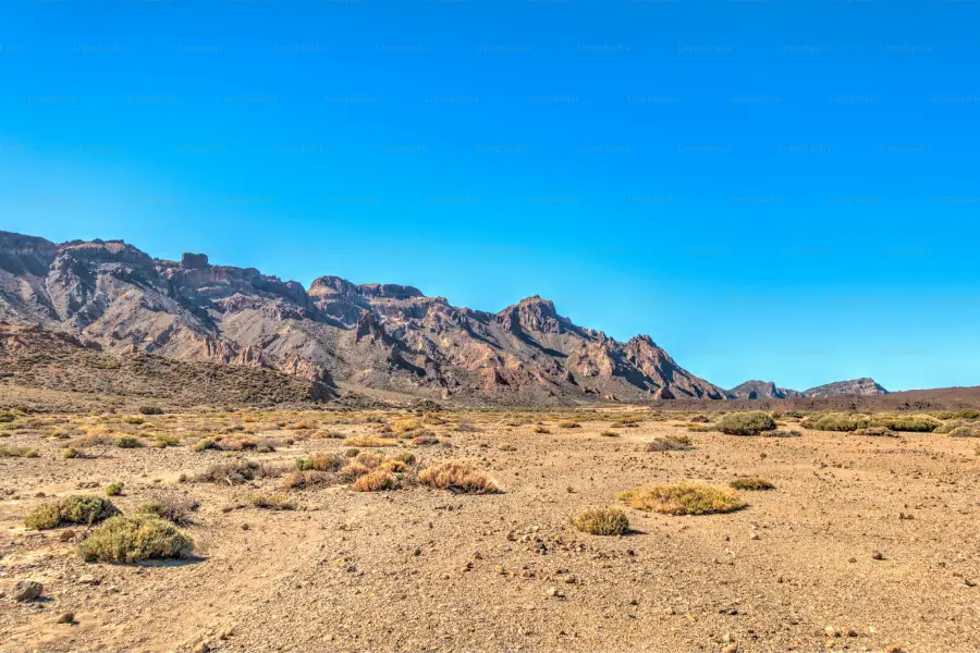 north american deserts