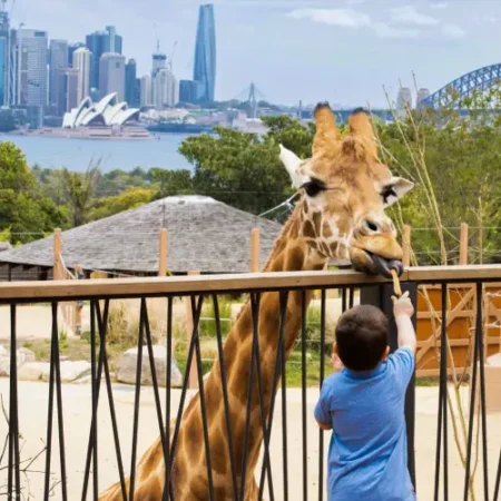 sydney zoo - best place for chieldren in Australia